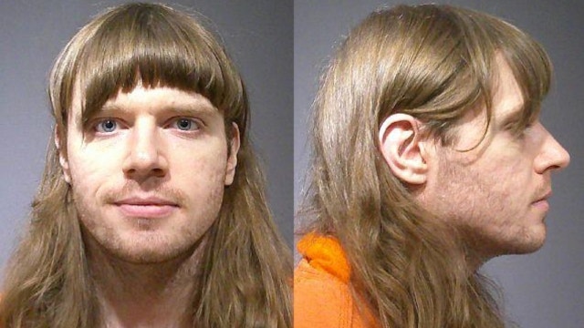 Illinois man sentenced to 30 years for killing mother, family dog: prosecutors