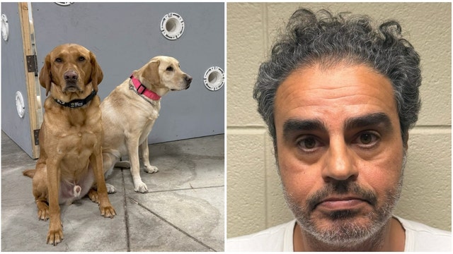 Suburban Chicago man charged with child porn after K9 bust: 'Deeply disturbing'