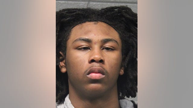 Suburban Chicago man charged in violent CTA robbery