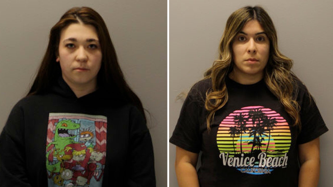 Suburban Chicago daycare employees accused of battering 7 children, police say