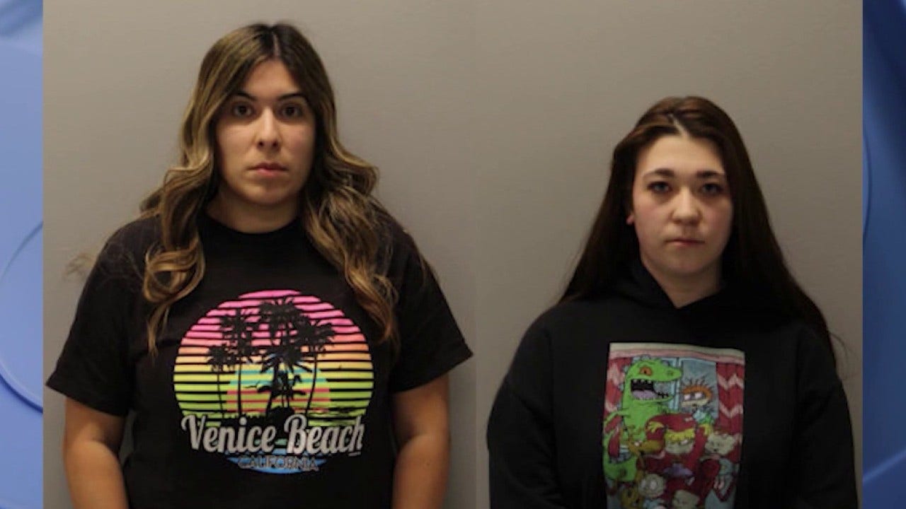 Des Plaines daycare employee charged with battery granted pretrial release