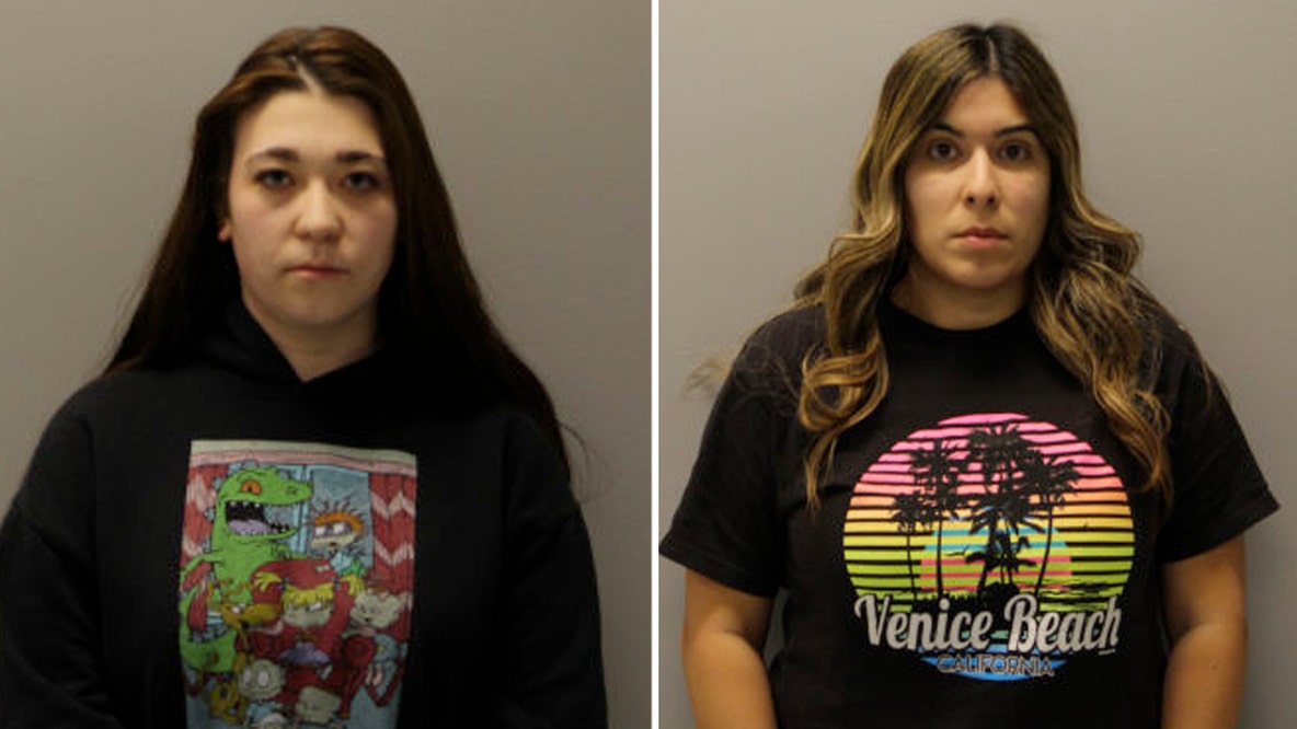 Suburban Chicago daycare employees accused of battering 7 children, police say