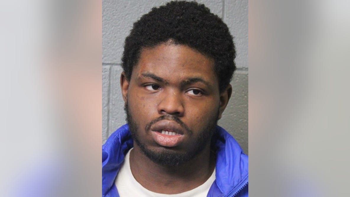 Chicago man charged in violent CTA robbery