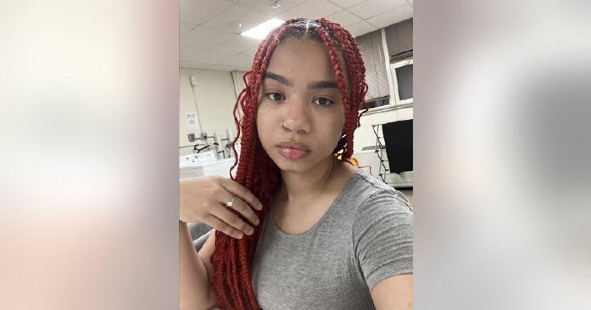 Anjolene Monroe: Missing Chicago girl last seen in January, police say