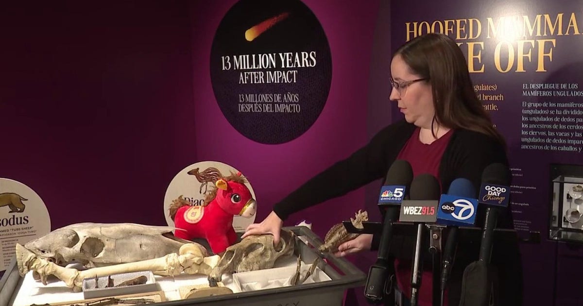 Chicago’s Field Museum celebrates Year of the Fire Horse with horse evolution...