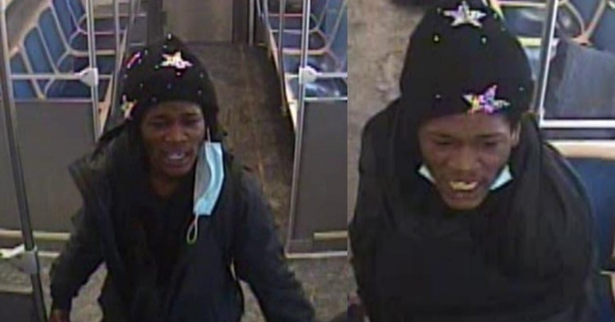 Chicago crime: Suspect punched, stopped victim on CTA Red Line train, police say