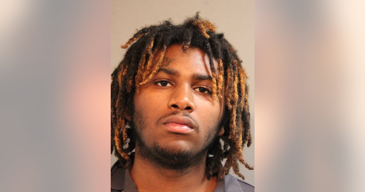 2 teens charged in Chicago murders, carjacking spree, police say | FOX ...