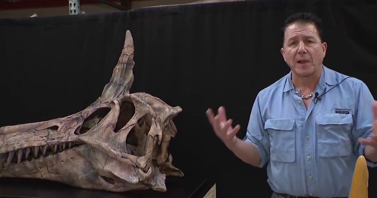 New Spinosaurus species to debut at Chicago Children’s Museum