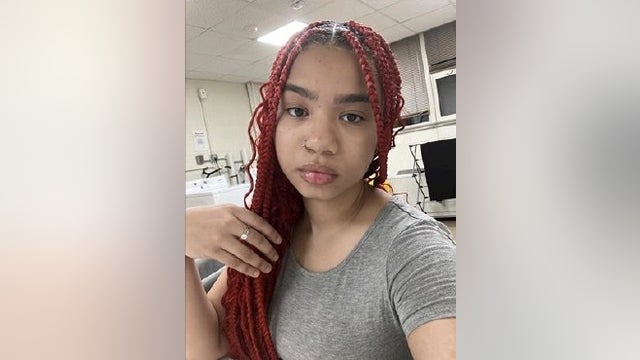 Anjolene Monroe: Missing Chicago girl last seen in January, police say