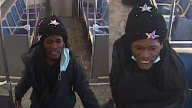 Chicago crime: Suspect punched, stomped victim on CTA Red Line train, police say