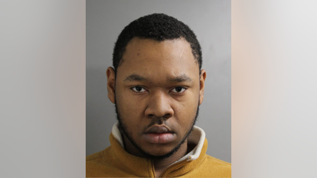 Man, 19, charged with eight counts of murder in Oak Forest death: police