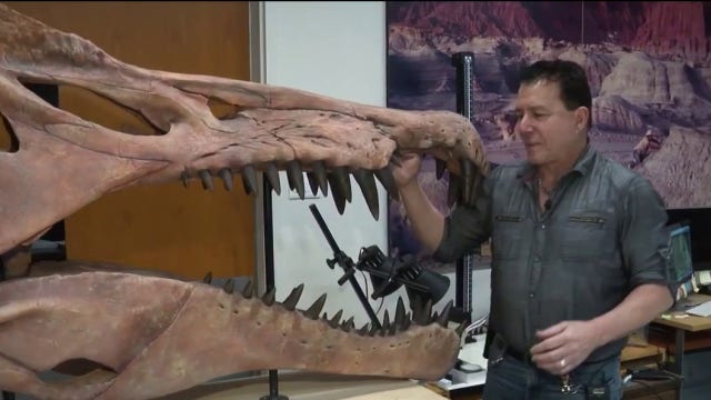 Chicago paleontologist discovers new dinosaur species in Sahara Desert