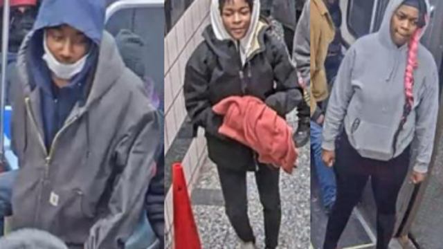 8 suspects sought in Blue Line robbery, beating in the Loop: police