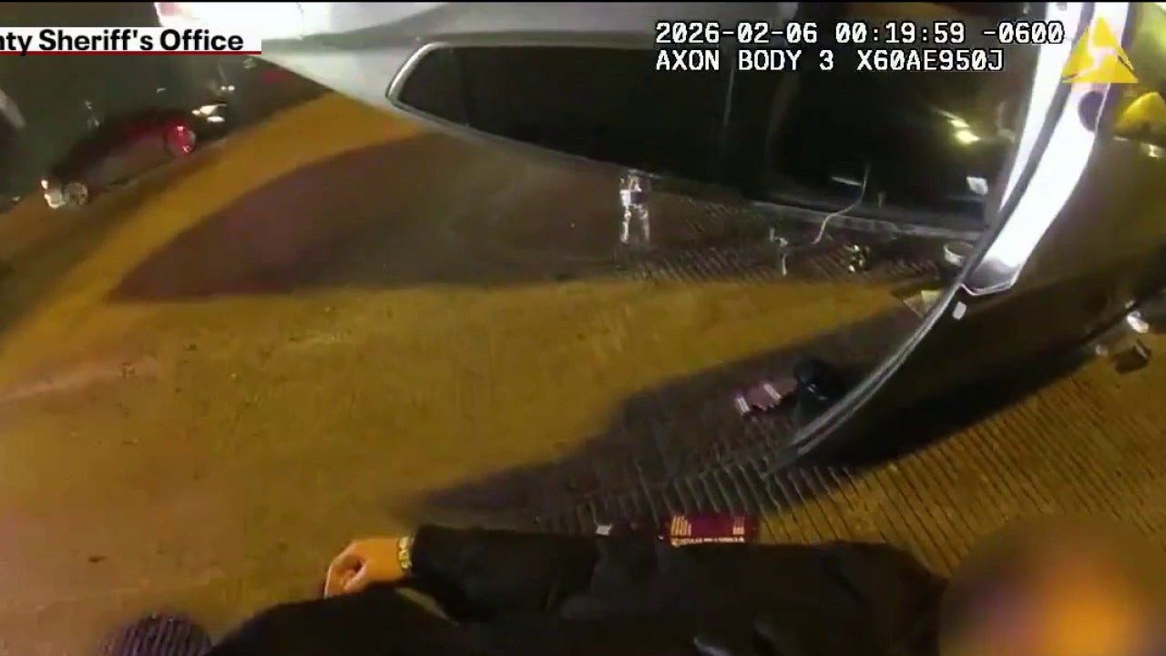 VIDEO: Cook County deputy revives man after I-90 crash