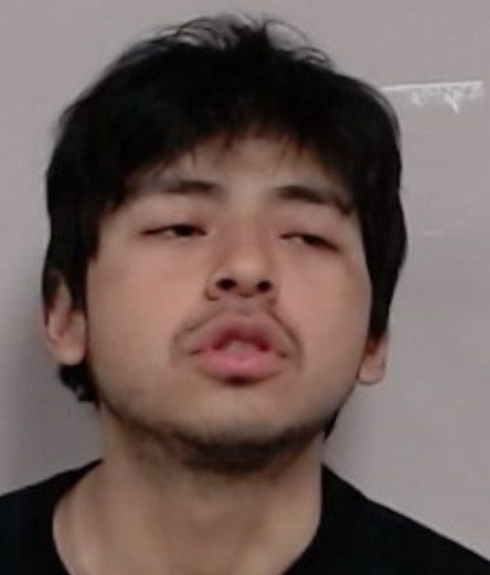 Palatine man charged in early morning business burglary