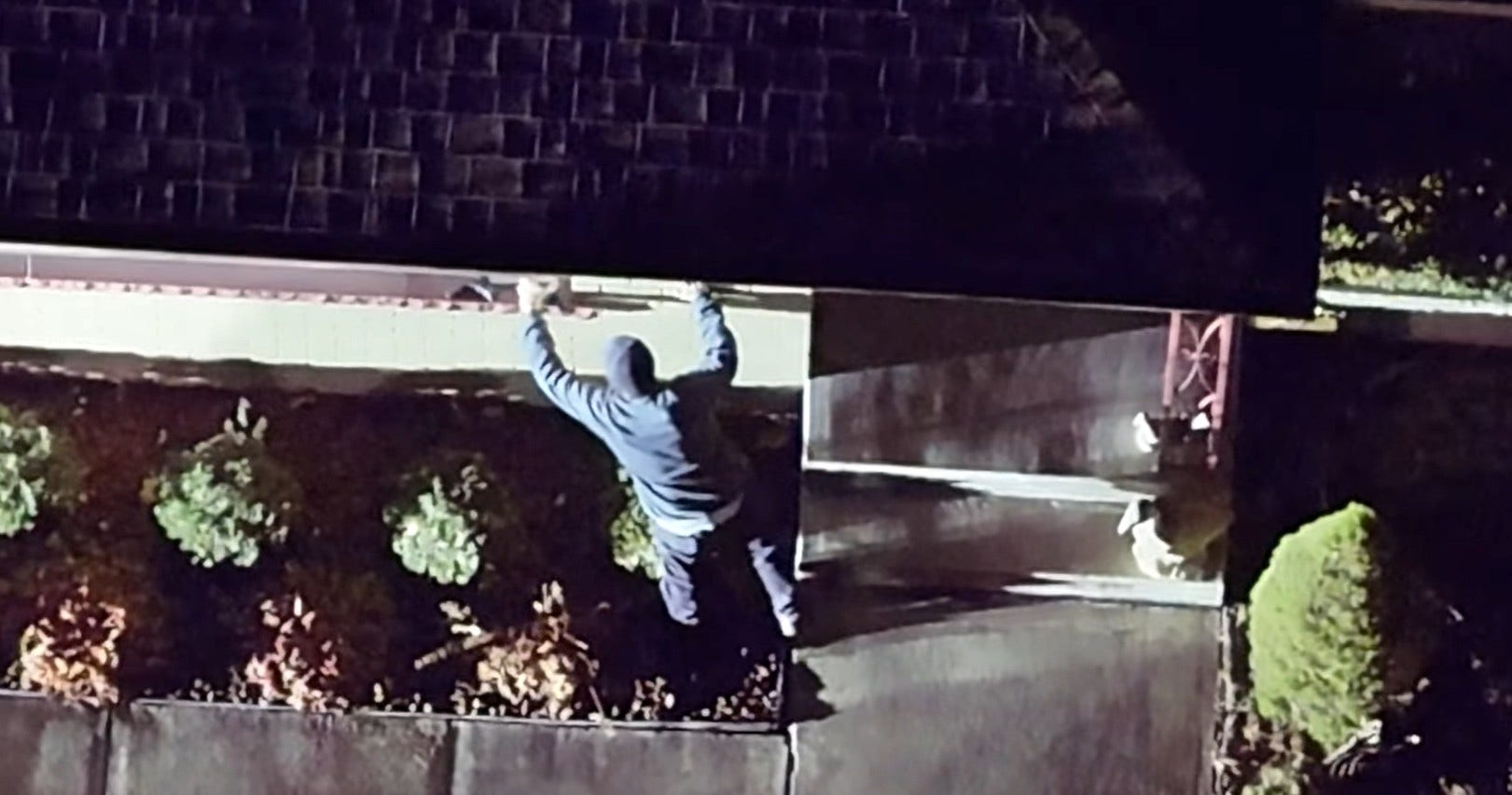 Late-night neighborhood dispute ends in gunfire, arrest in Chicago south suburb: sheriff