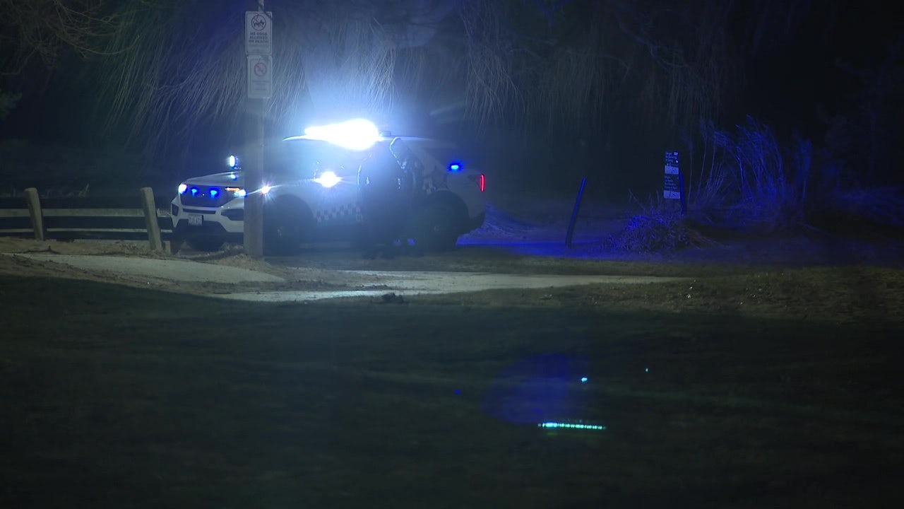 Chicago crime: Woman, 18, shot to death near North Side beach park