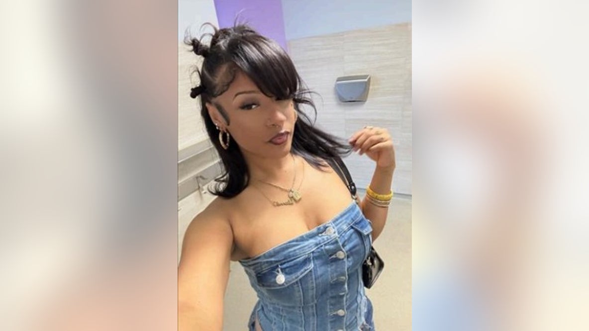 Fabianna Brown: Chicago girl reported missing