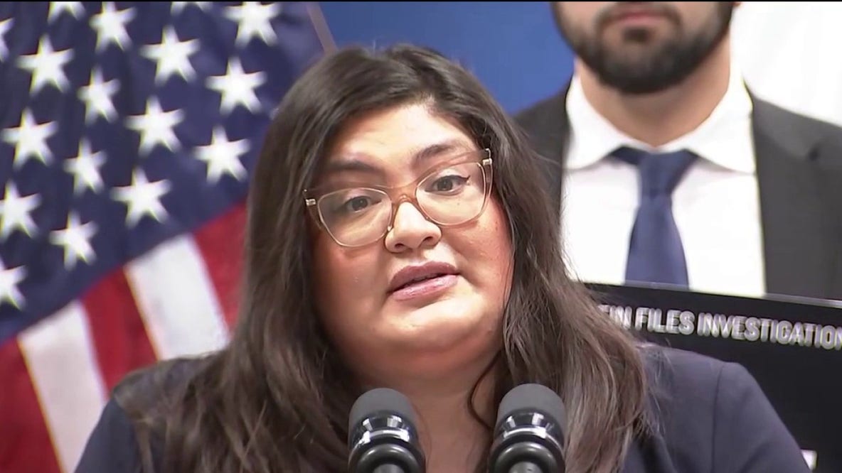 Illinois Democrats propose independent commission to investigate state ties to Epstein