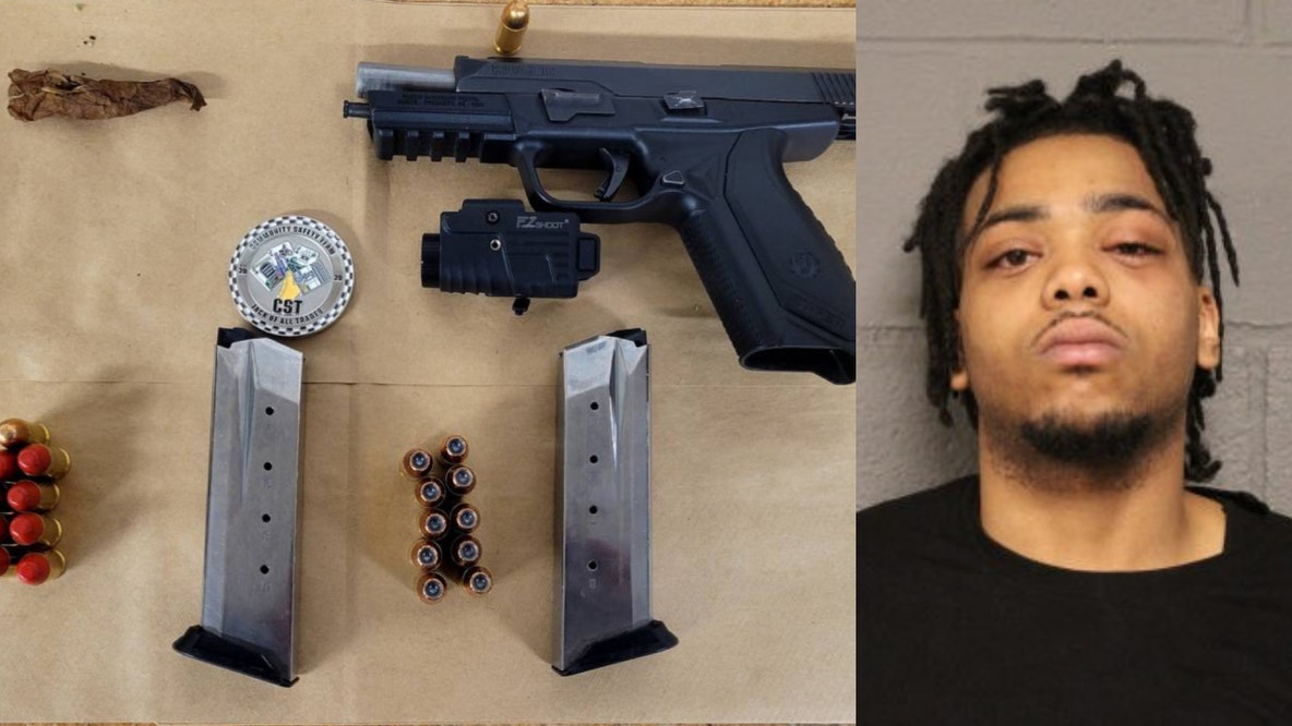 Loaded gun found on suburban Chicago man stopped for rolling blunt on CTA platform, police say