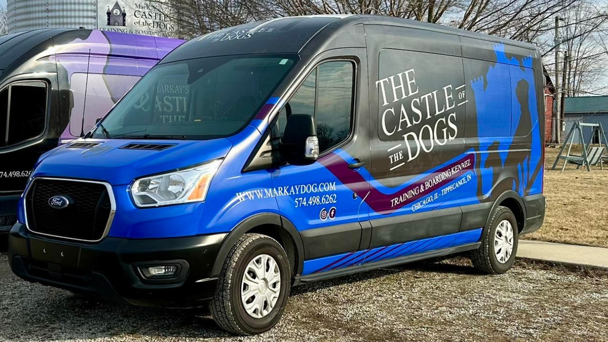 Transit van carrying 8 dogs recovered after being stolen in front of Chicago pet salon