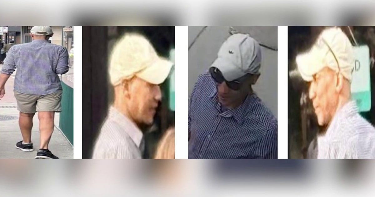 Attempted child luring in Lincoln Park interrupted by witness, police ...