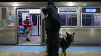 Trump admin steps up pressure on Illinois over CTA crime concerns