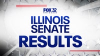 Illinois Senate Results