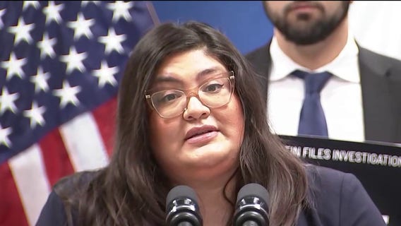 Illinois Democrats propose independent commission to investigate state ties to Epstein