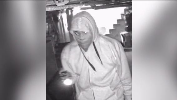 Overnight burglary spree hits six Chicago businesses