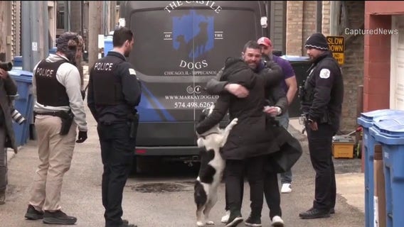 Man arrested after stolen van carrying 8 dogs recovered outside Chicago pet salon: police