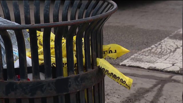 Teen found shot to death in street on Chicago's Northwest Side, police say
