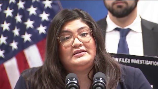 Illinois Democrats propose independent commission to investigate state ties to Epstein