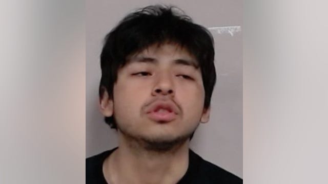 Palatine man charged in early morning business burglary