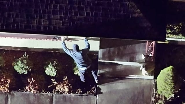 Late-night neighborhood dispute ends in gunfire, arrest in Chicago south suburb: sheriff