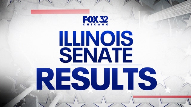Illinois State Senate Primary Election Results 2026