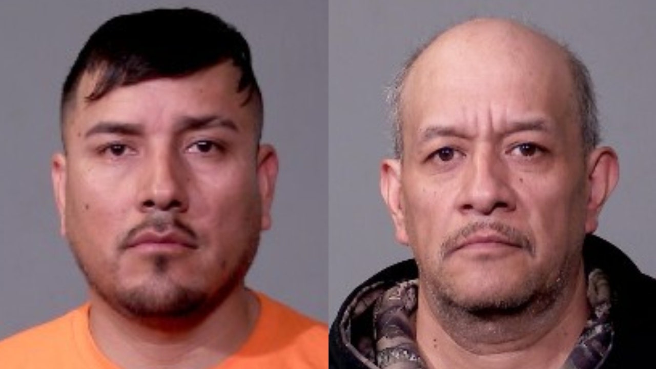 Cockfighting ring busted in Chicago suburb, dozens of animals rescued: police