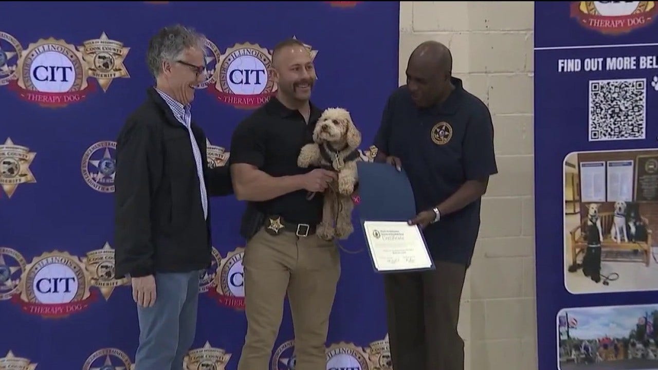 Illinois creates first-of-its-kind therapy dog program for police