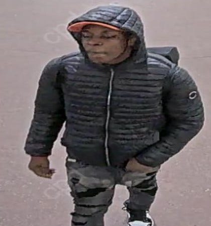 Police seek man who groped woman on CTA Red Line train