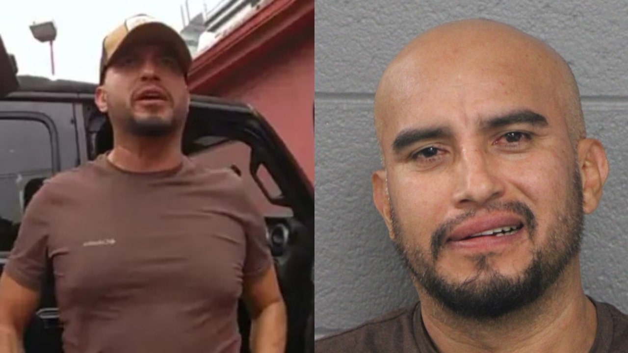 Mexican man pleads guilty to firing gun near Border Patrol agents in Chicago