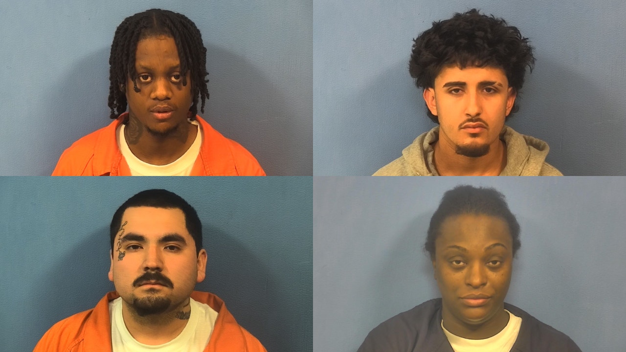 Suburban Chicago men, Georgia woman held in custody after police chases