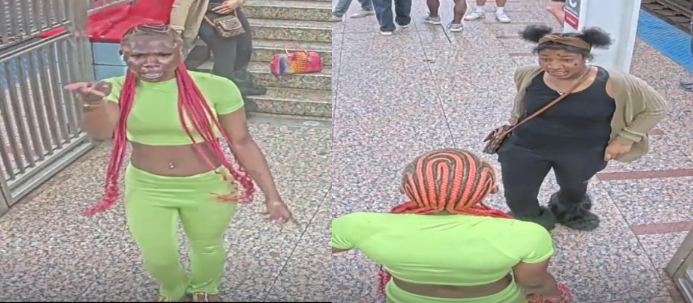 Chicago police search for suspects in brutal CTA Red Line assault