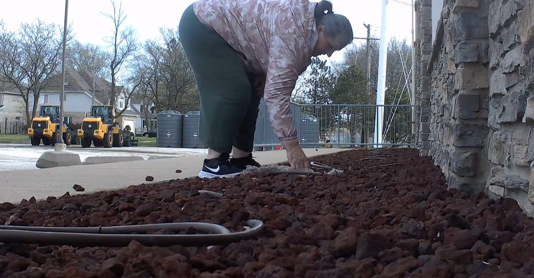 Police look to crack goose egg theft case in Chicago suburb