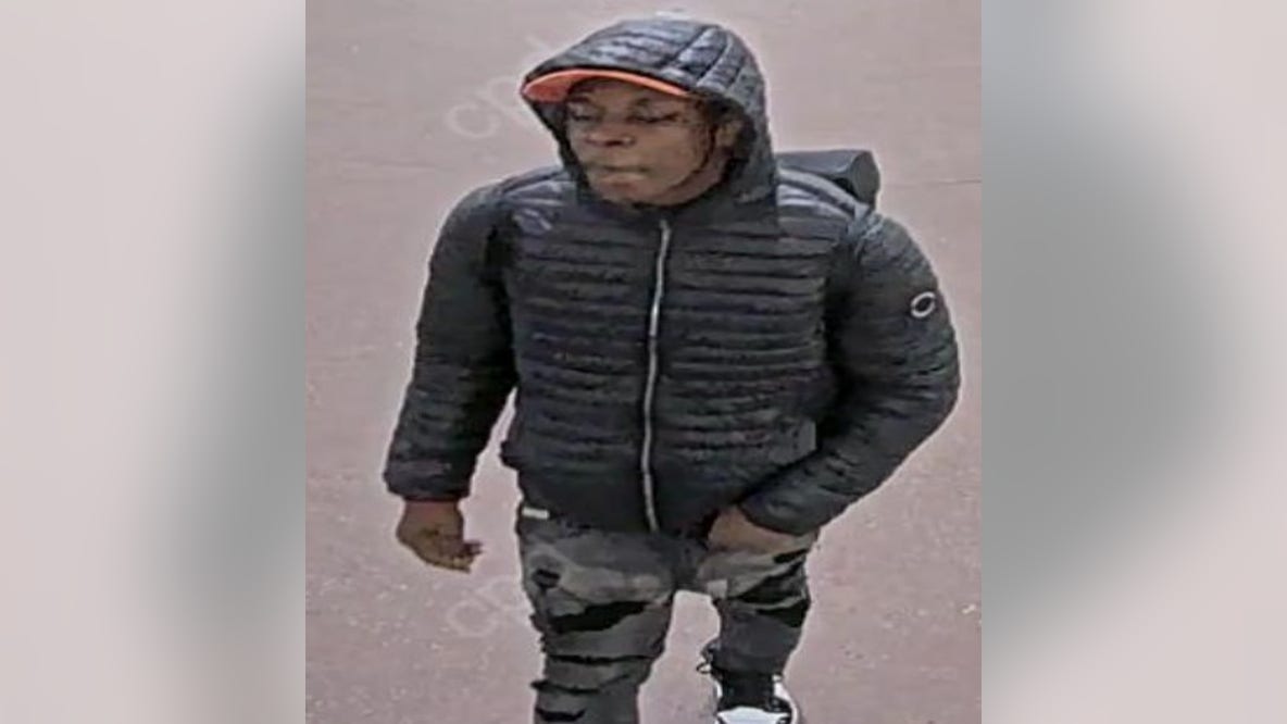 Police seek man who groped woman on CTA Red Line train