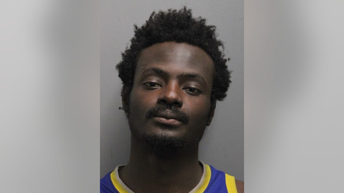 Suspect arrested after several Chicago Fire Dept. cars were damaged, police say