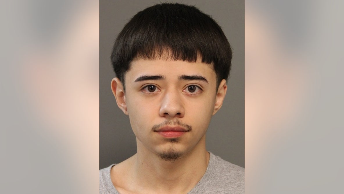 Alleged Chicago gang members charged after feds seize guns, 'switch' devices from home