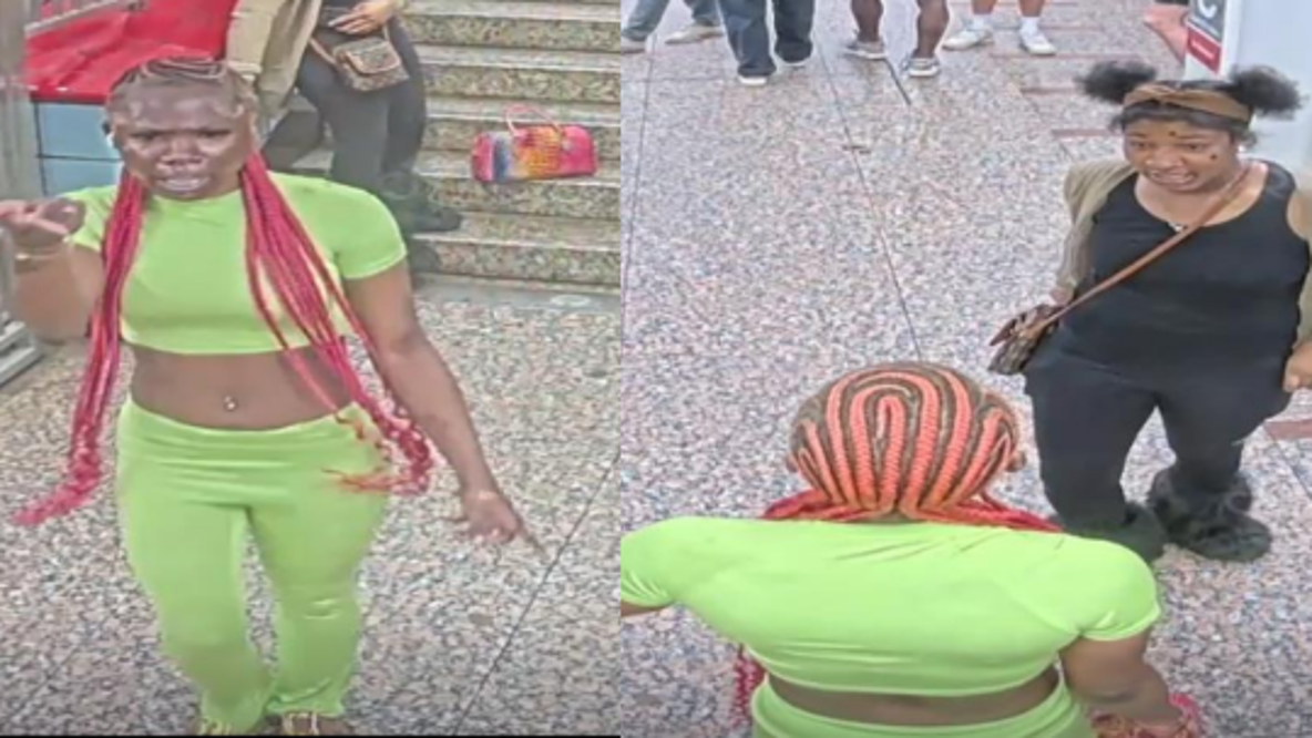 Chicago police search for suspects in brutal CTA Red Line assault