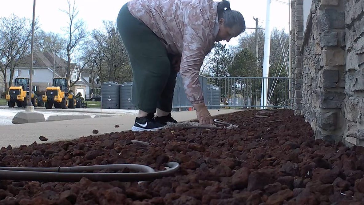 Police say they’ve cracked the case of stolen goose eggs in Chicago suburb