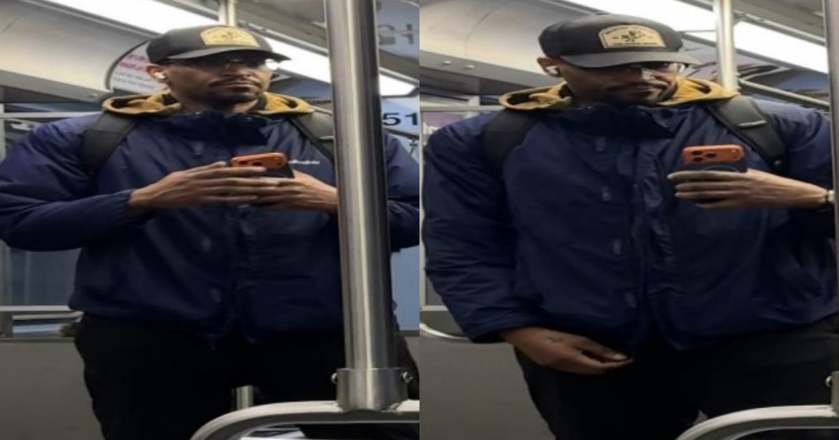 Chicago police seek man accused of punching CTA Red Line rider in Goose ...