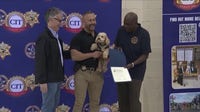 Illinois creates first-of-its-kind therapy dog program for police